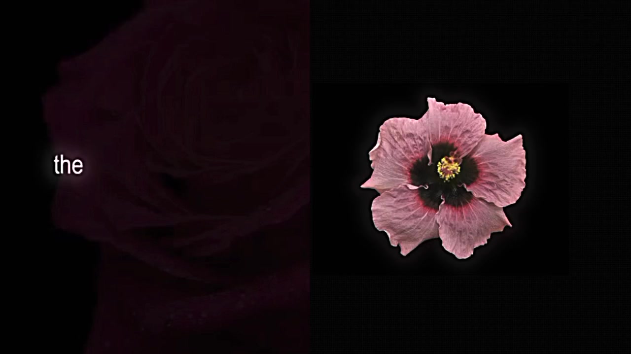 @𝘷𝘦𝘭𝘮𝘮𝘳𝘢𝘺𝘹