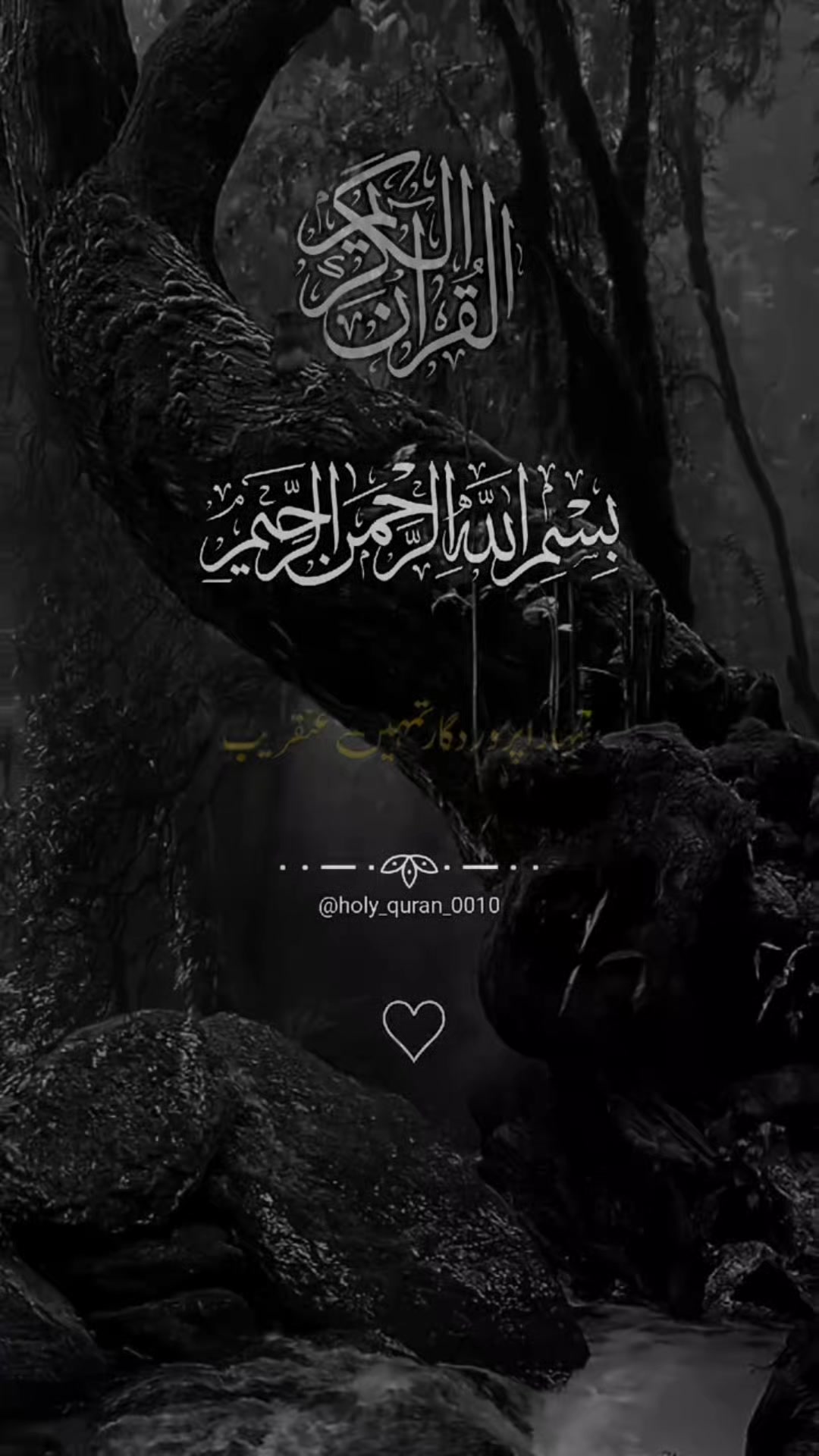@Abdul Mateen