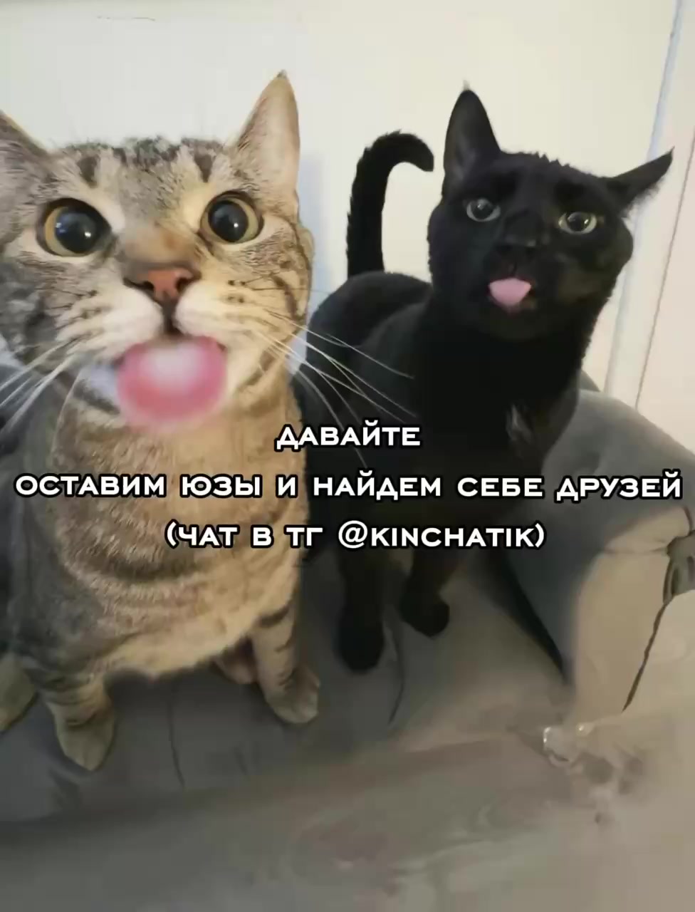 @cqtagger