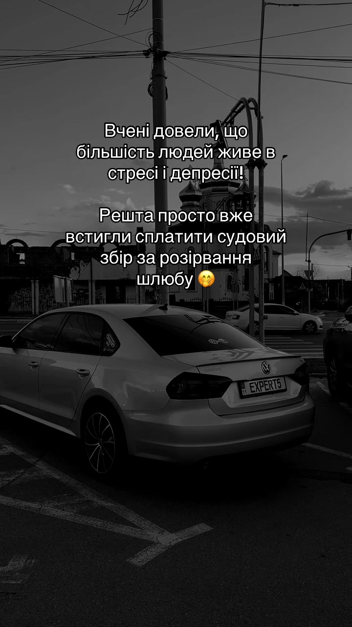 @_expert_5_
