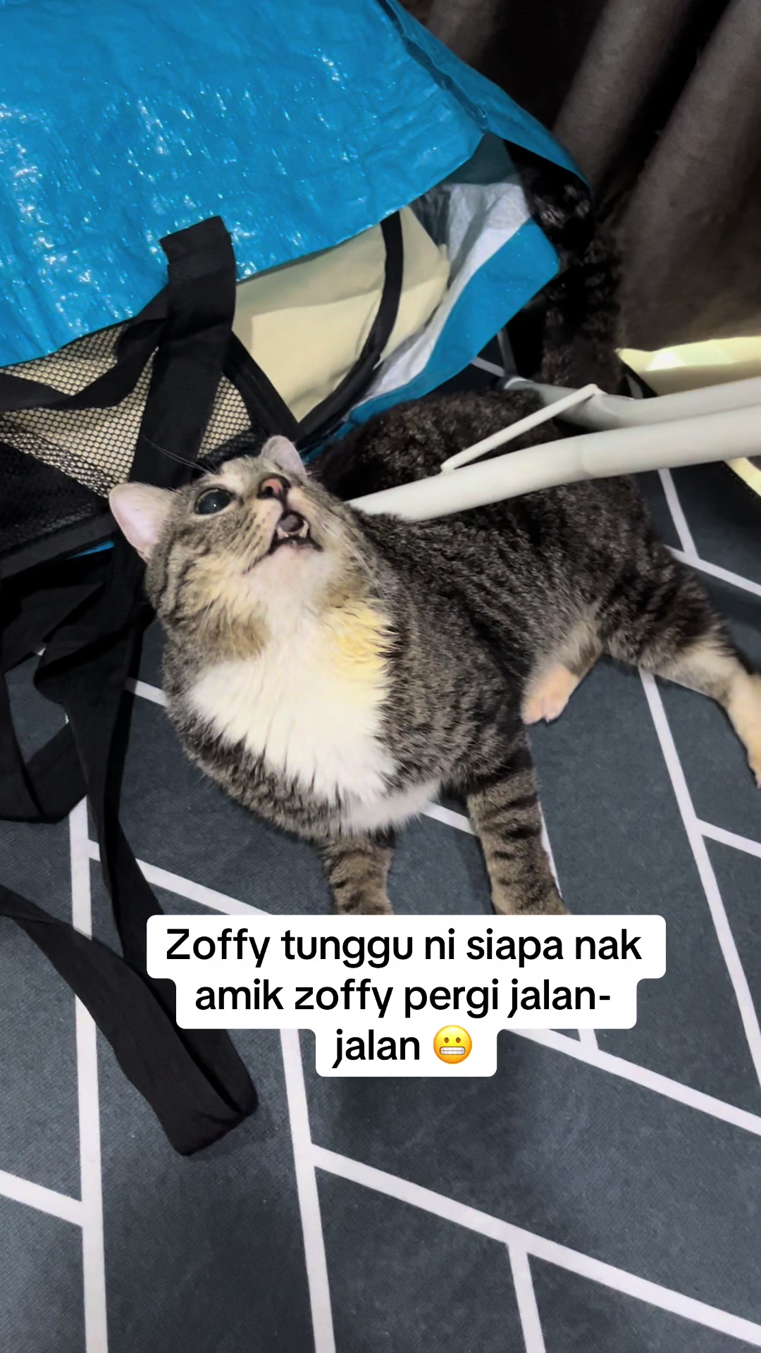 @gengbulus