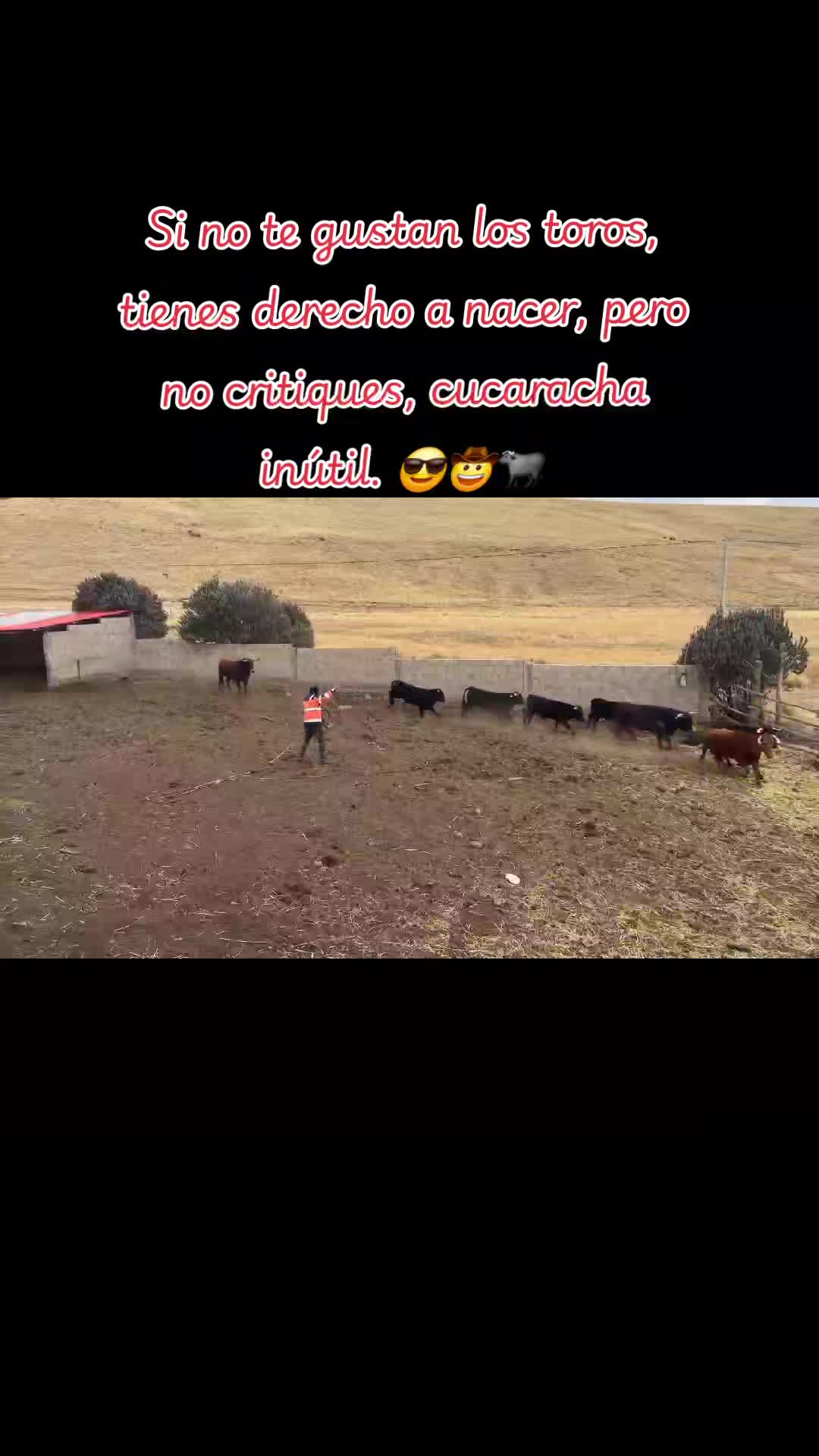 @PEÑATORRES🤠