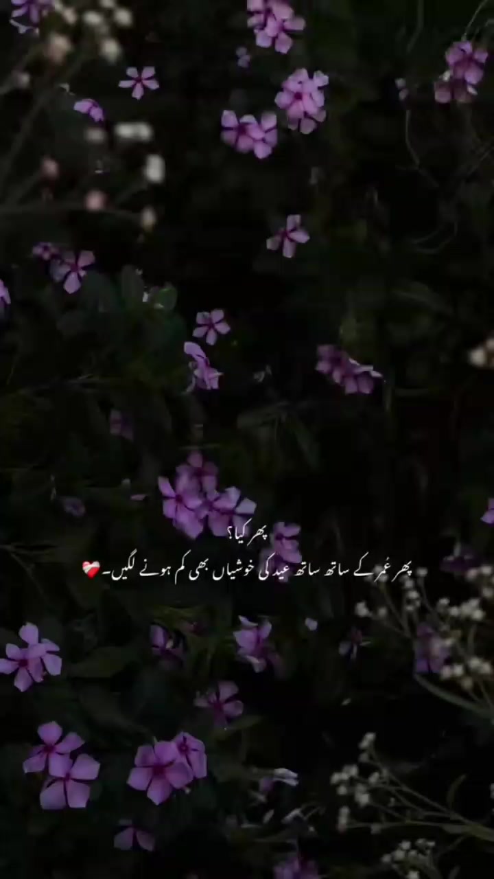 @ꂵꋬ꓄꒒ꋬꃳ꒐ꏂ ಢ‸ಢ ꒯꒤ꋊꋬꌦꋬ💔