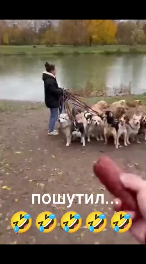 @Дэнчик Кэт