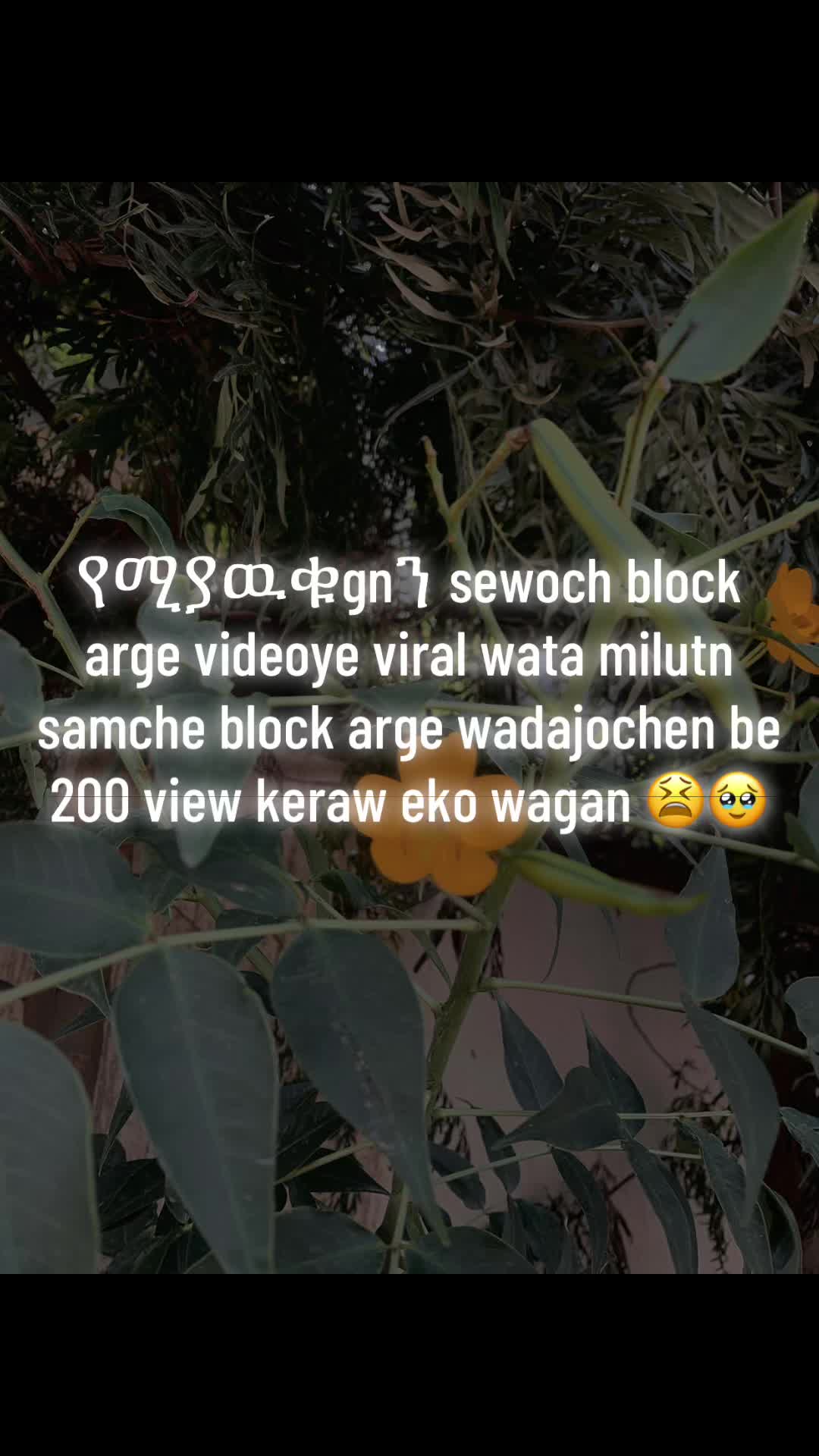 @🐻