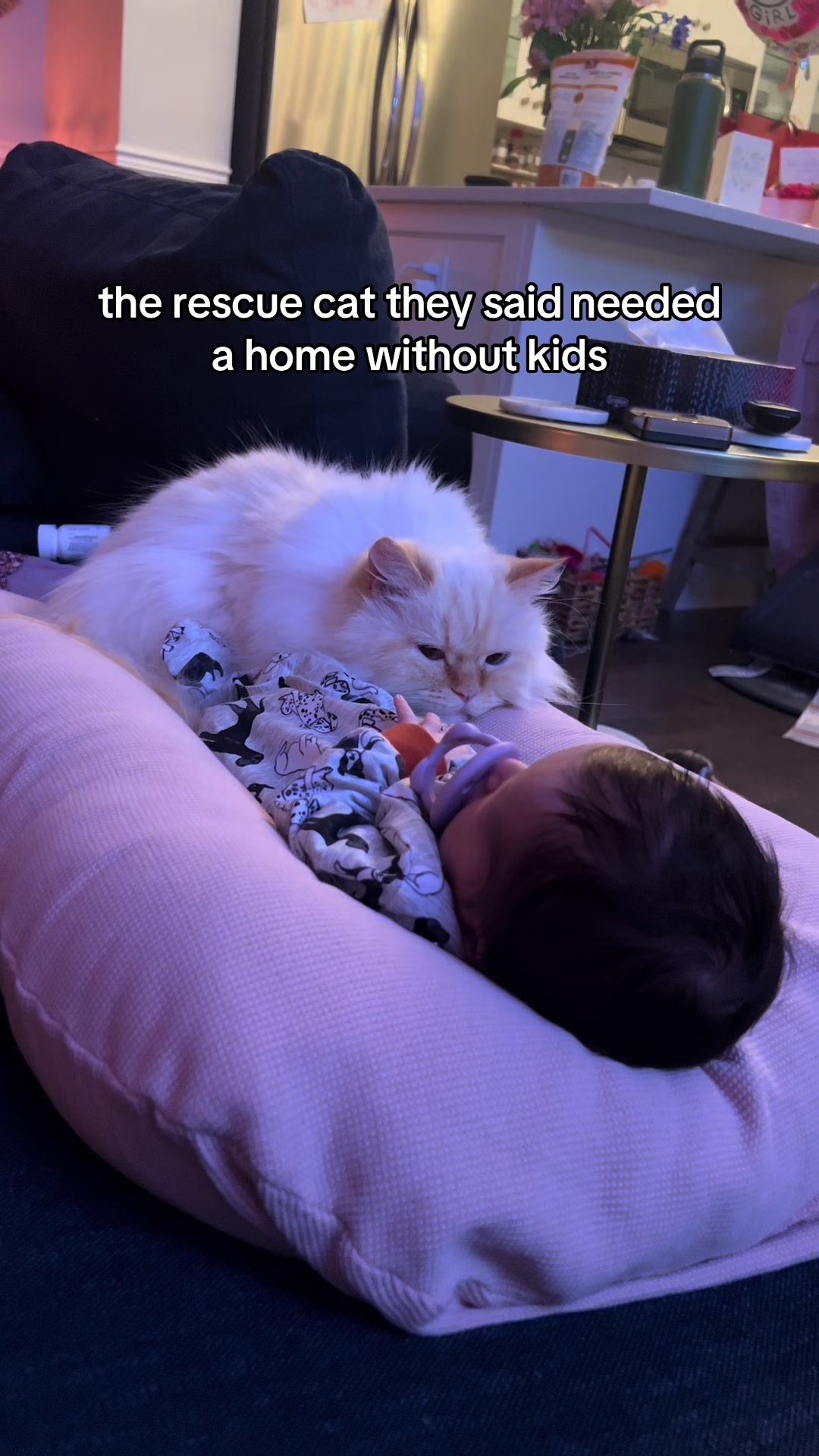@Krista & Cats: BamBam & Bonnie