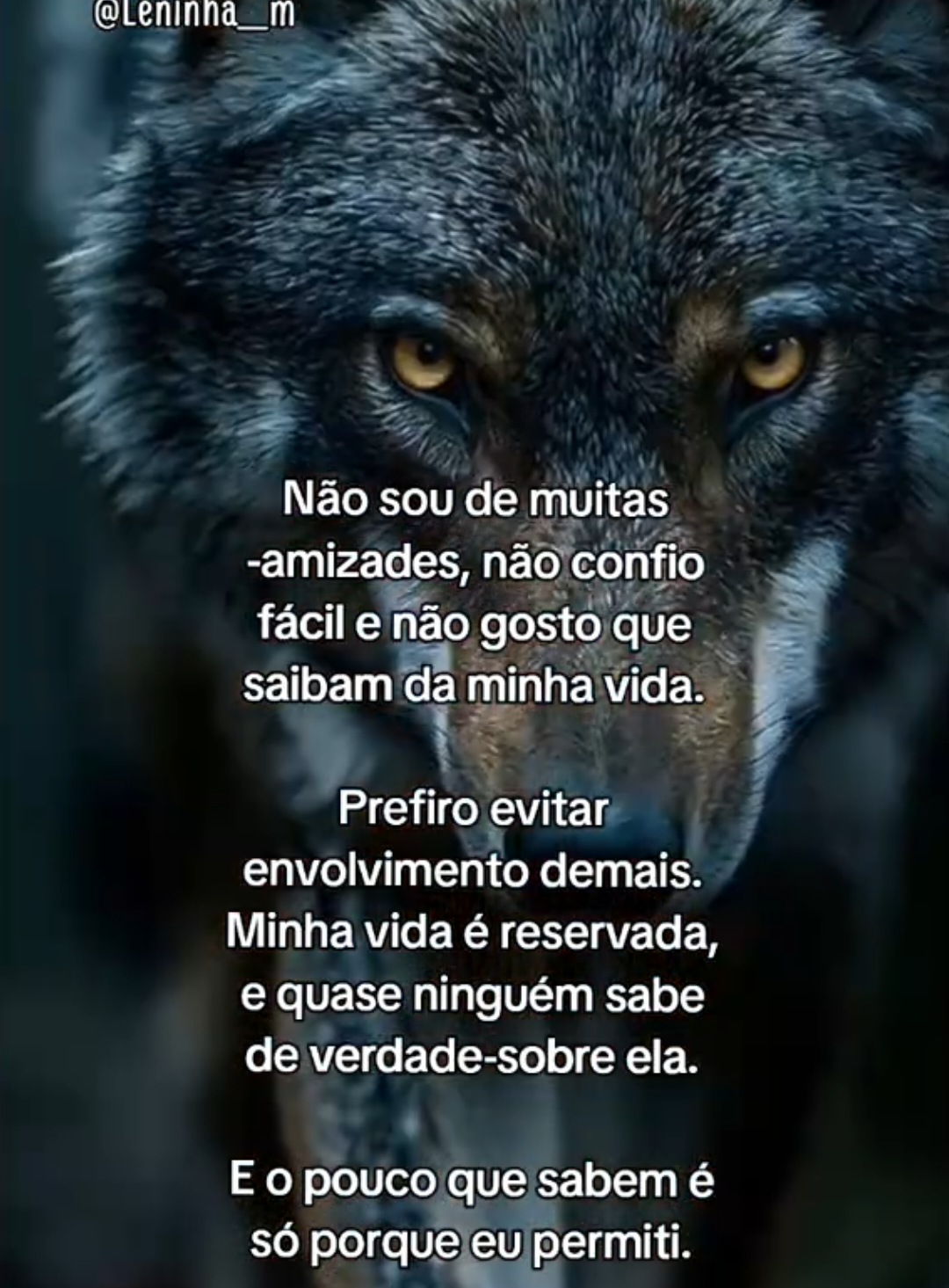 @Leninha___m