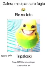@💅-Coelhas gamers TikTok☑️