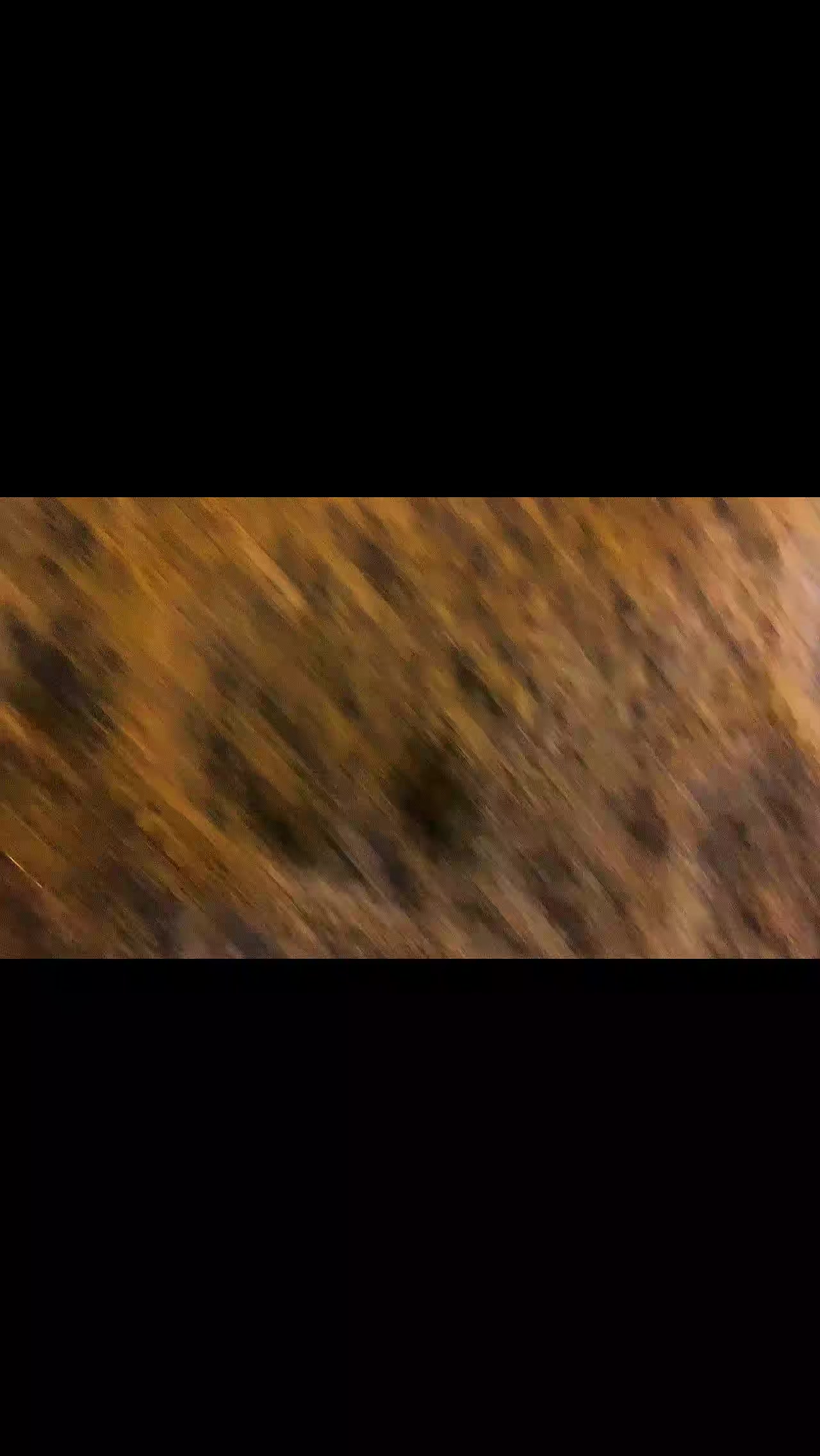 @حــــوٕد بوالمهدي!✓