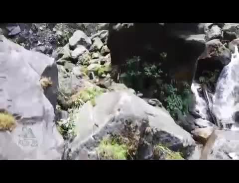 @ALEXANDER .F
