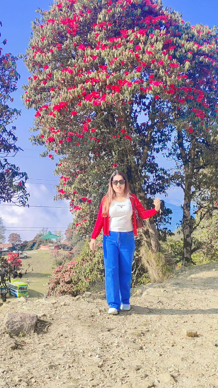@Susmita Yadav