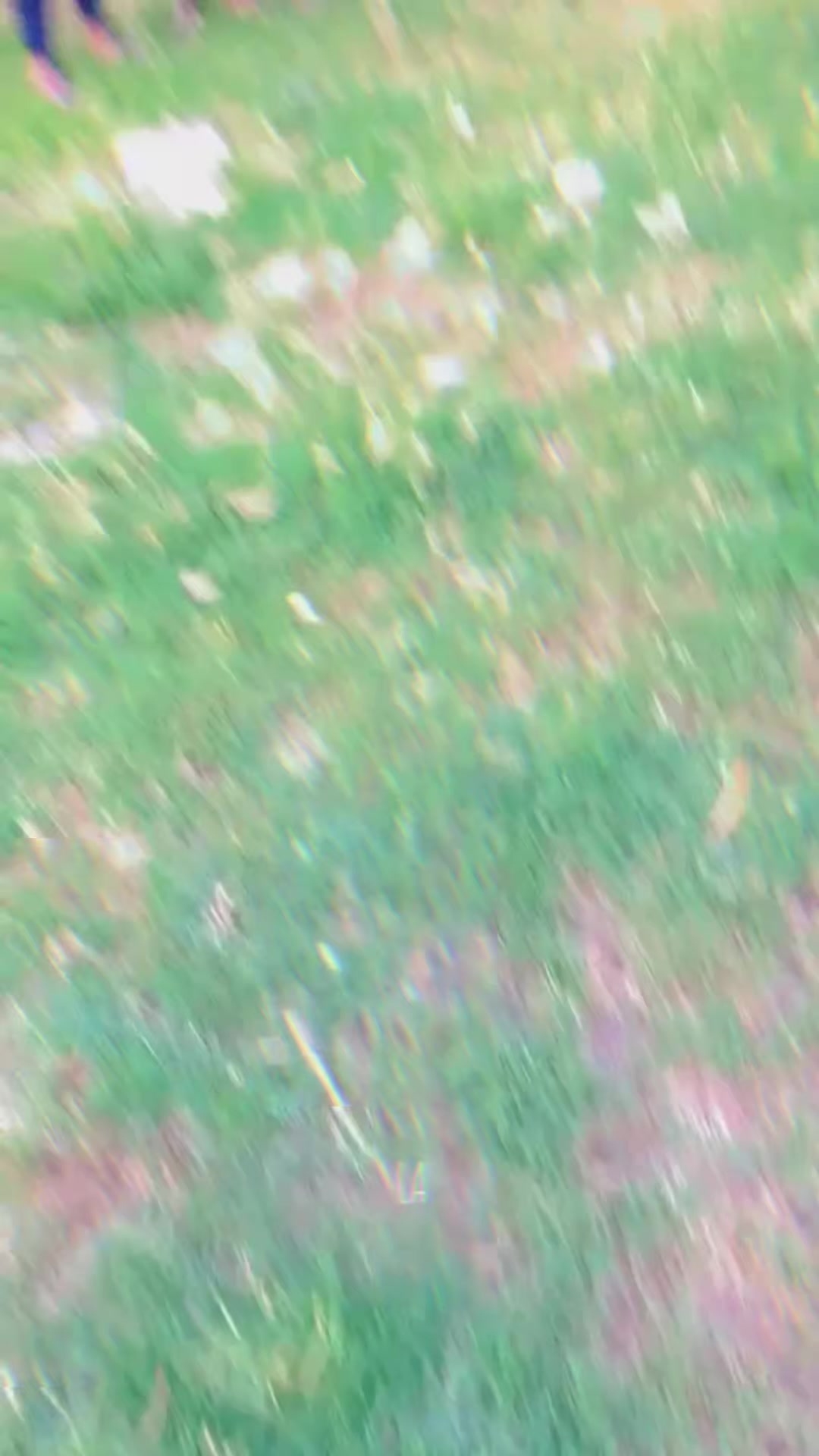 @LæLæ،،، Fæïzæñ ،،Næwæb