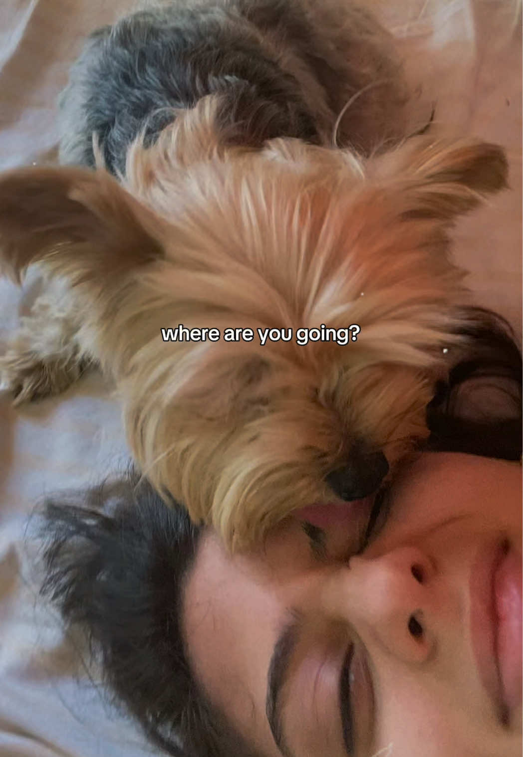 @Lea <3