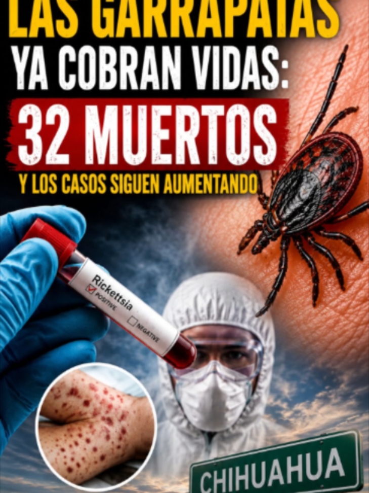 @Espacio Libre M&eacute;xico