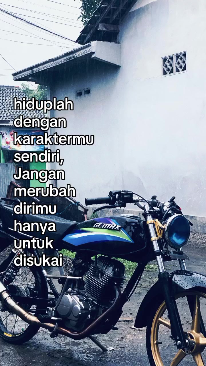 @RT🐥