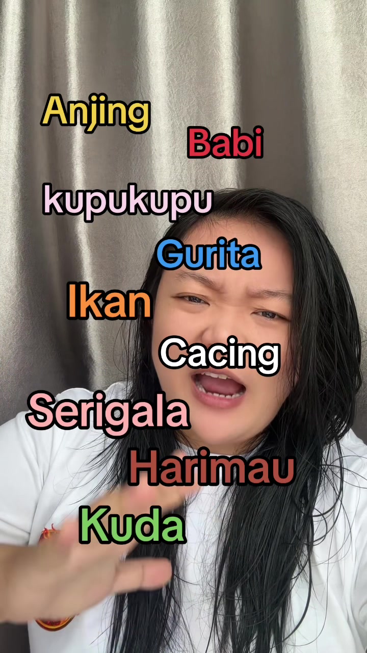 @jeje