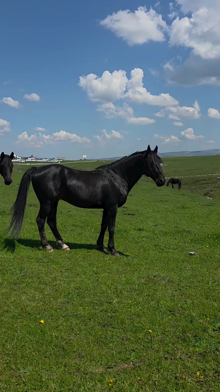 @Վաչե Գևորգյան
