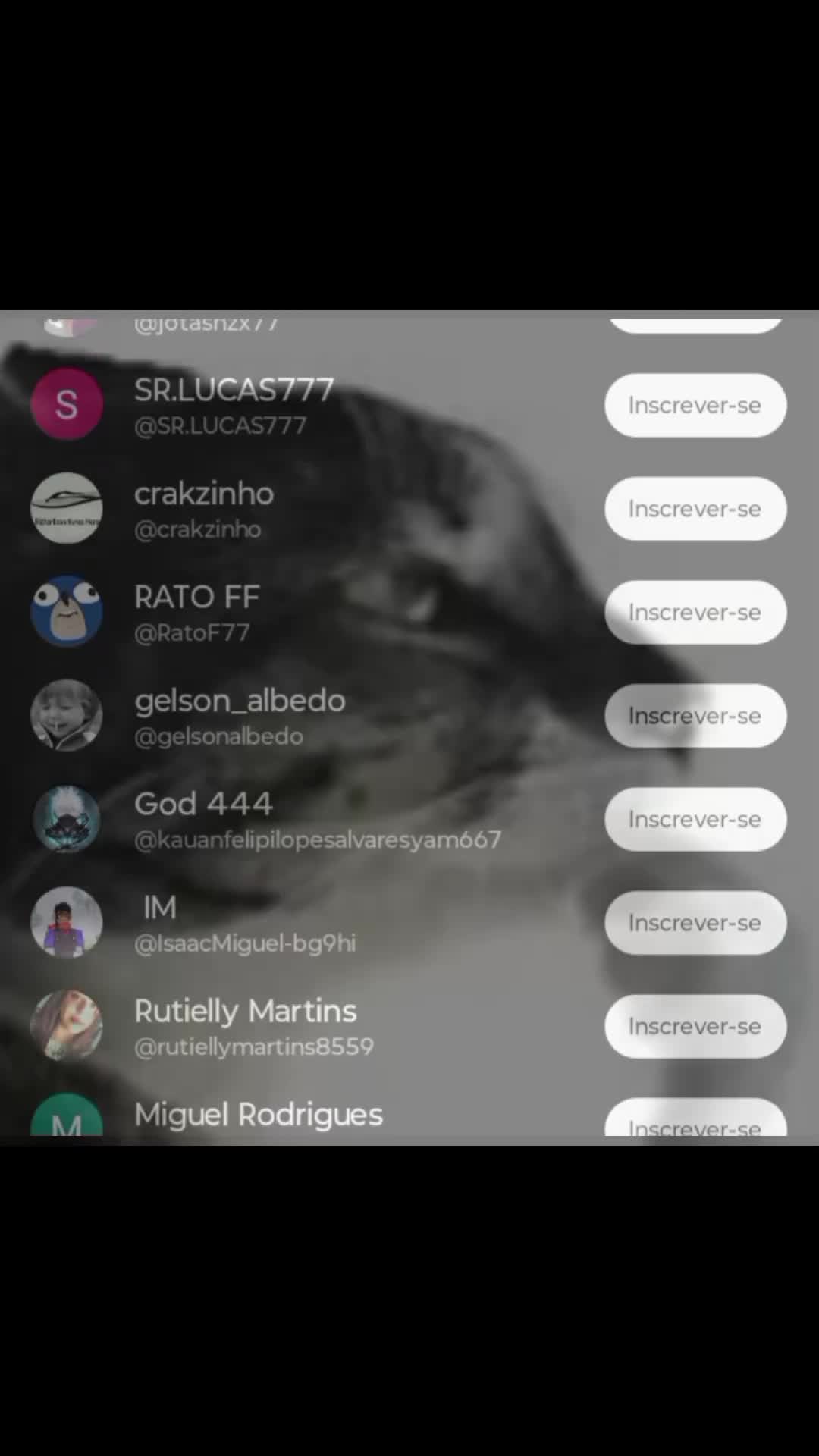 @RodrigoDev🦴🍎