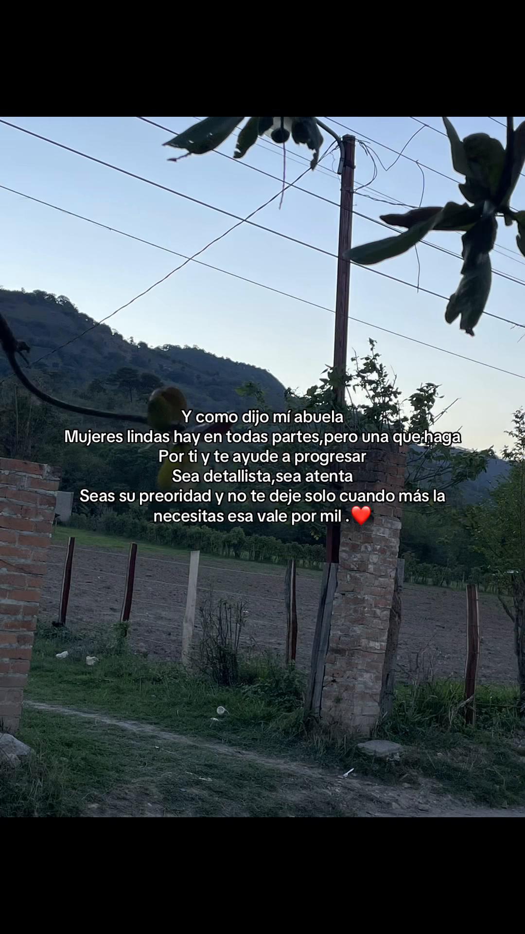 @💜🦄ᴇʟ ᴘᴇʟɪɢʀᴏꜱᴏ D Natalia🌻🐾
