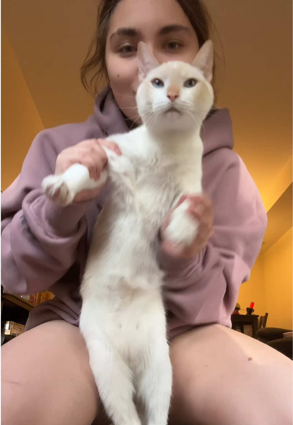 @FamiliarFEYpets