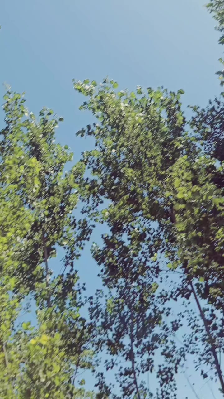 @🍂🫀ɧąʂɛɛც&oslash;🫀🍂