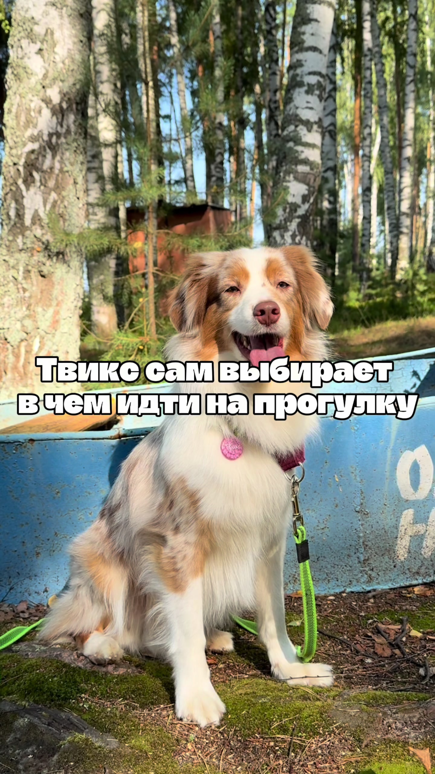 @𝚃𝚠𝚒𝚡