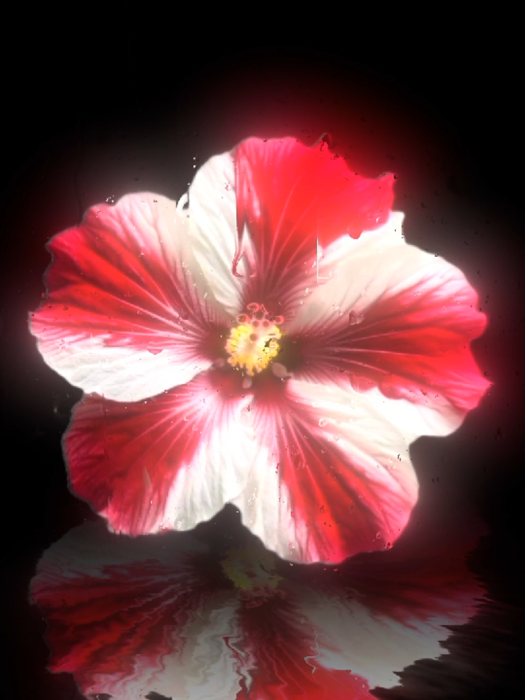 @𝐌𝐔𝐒𝐈𝐂 𝐌𝐄𝐃𝐄𝐑𝐎