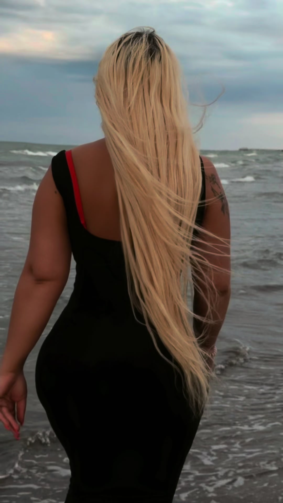 @f.arida__