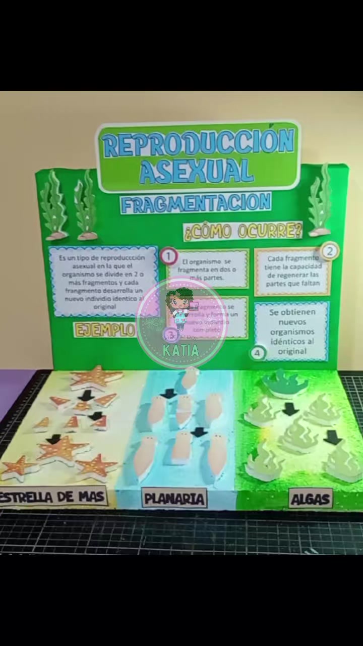@Talento Creativo