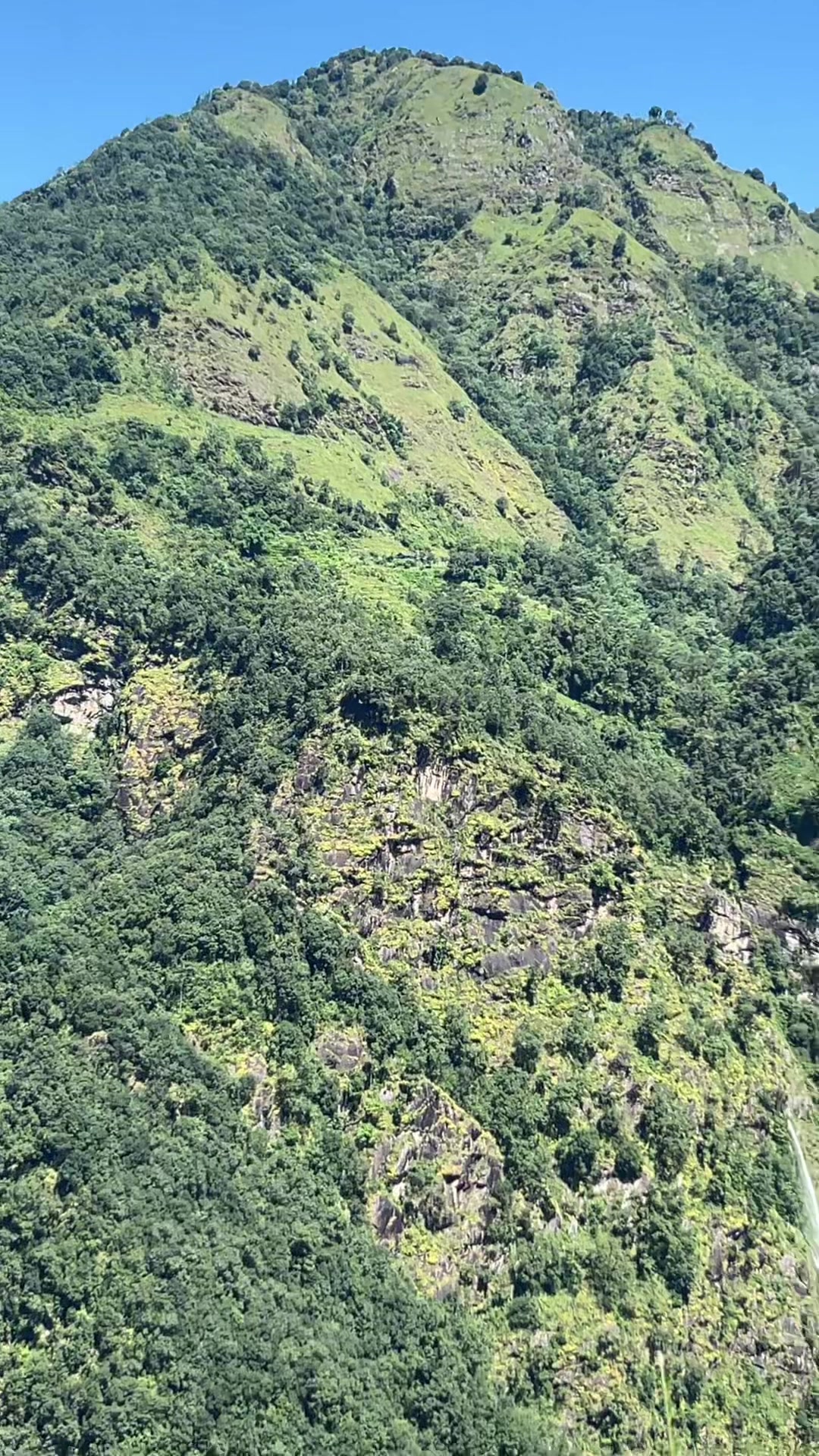 @काईली🫀🐼