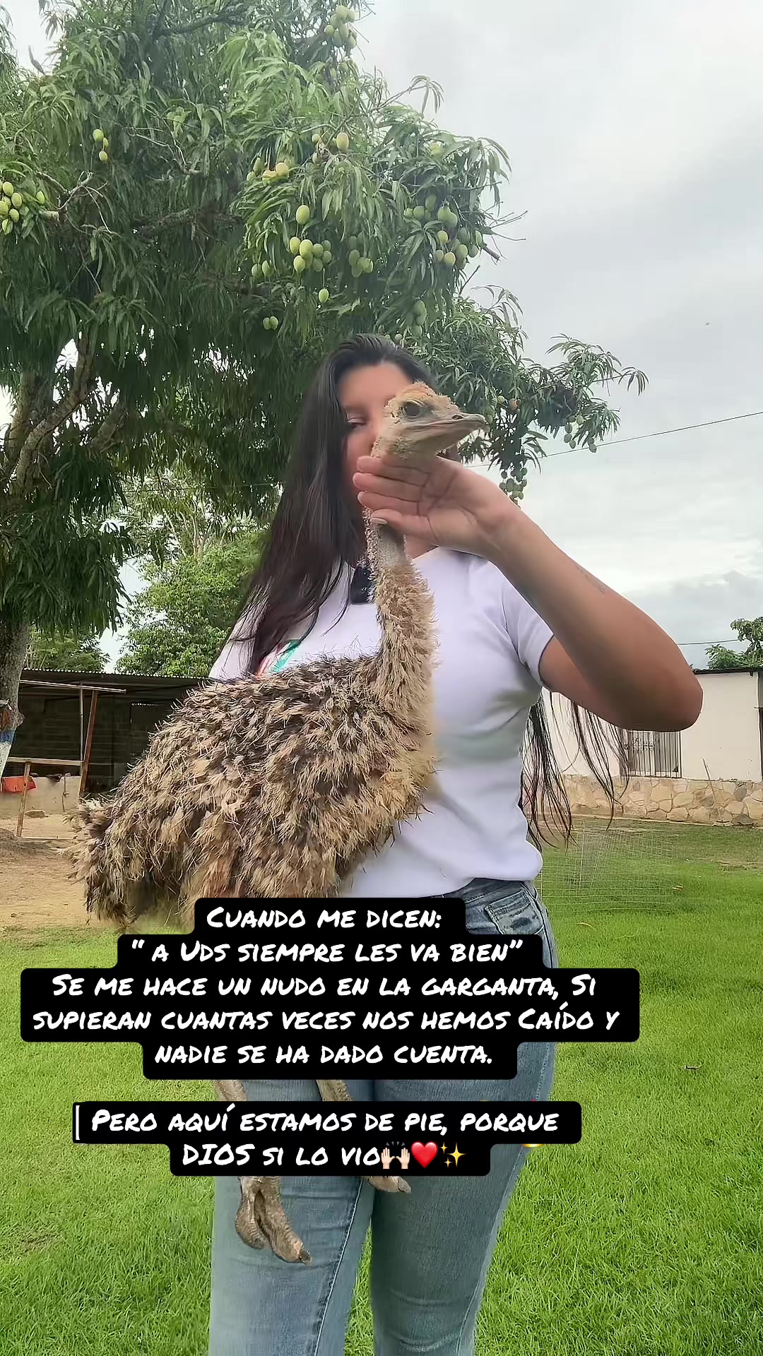 @Granjamascotalandiayaracuy