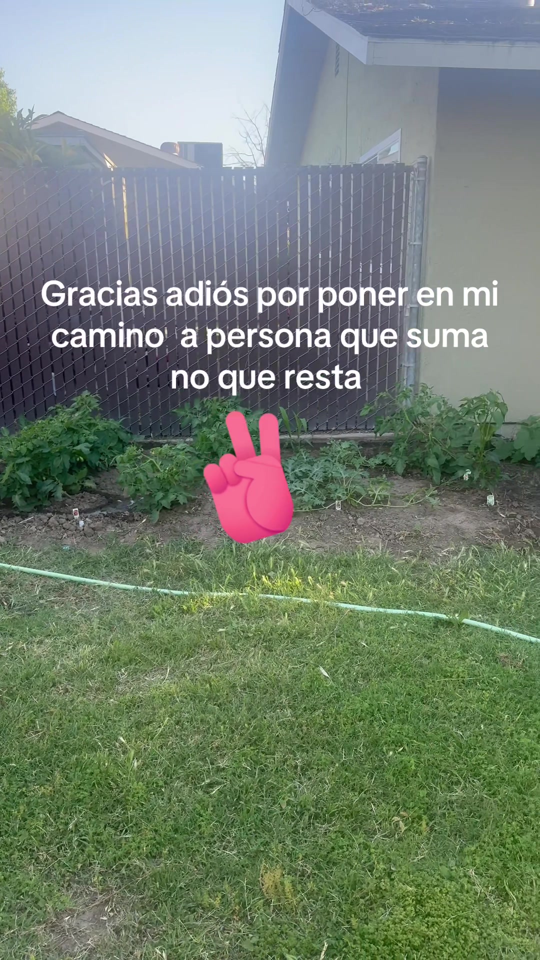 @China | La Costeña 🦋