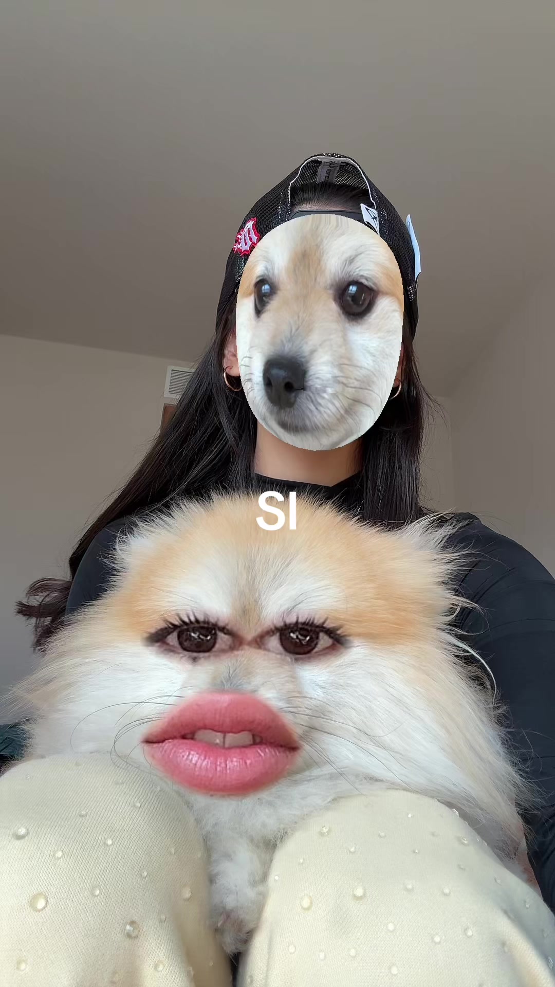 @ODALYS