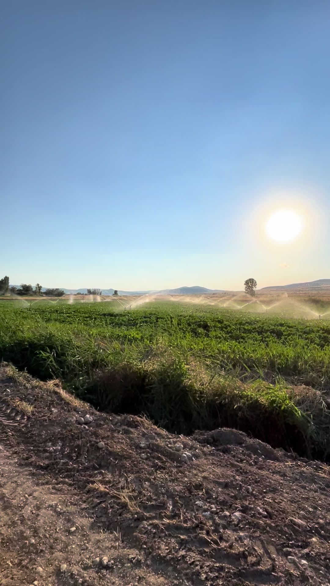 @Uğur Alperen Karakurt