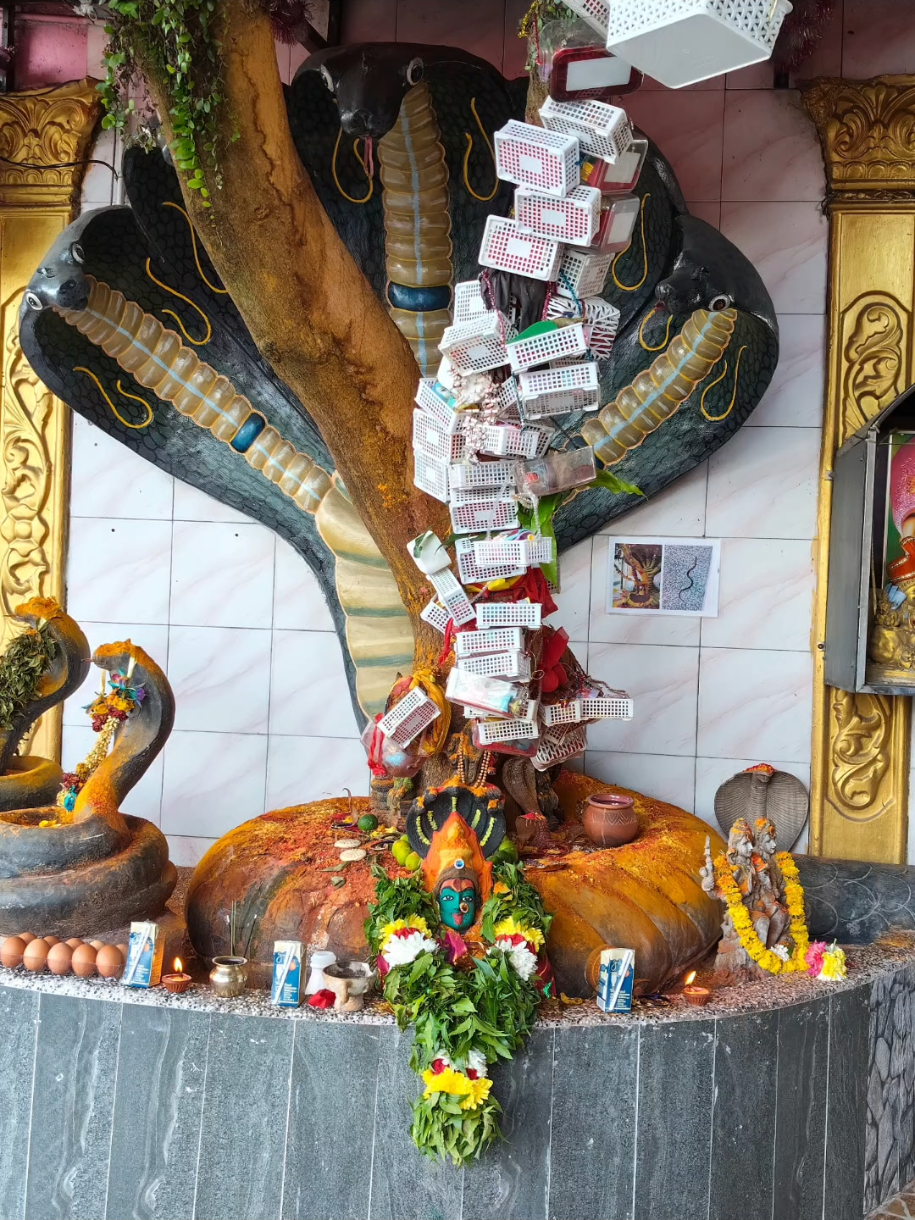 @🧿✨ உமா மகேஸ்வரி ✨🧿