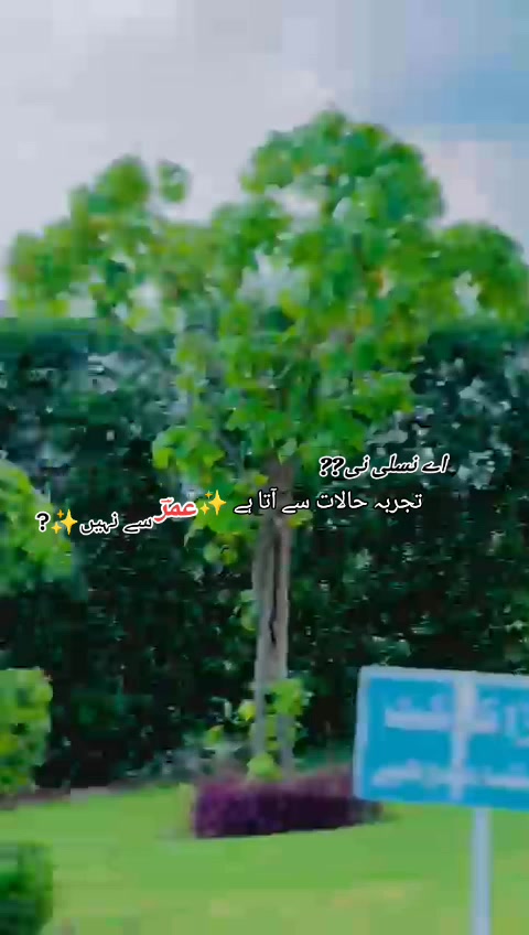 @Mursaleen✌️M🫶R?