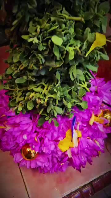 @Dynamic Florist