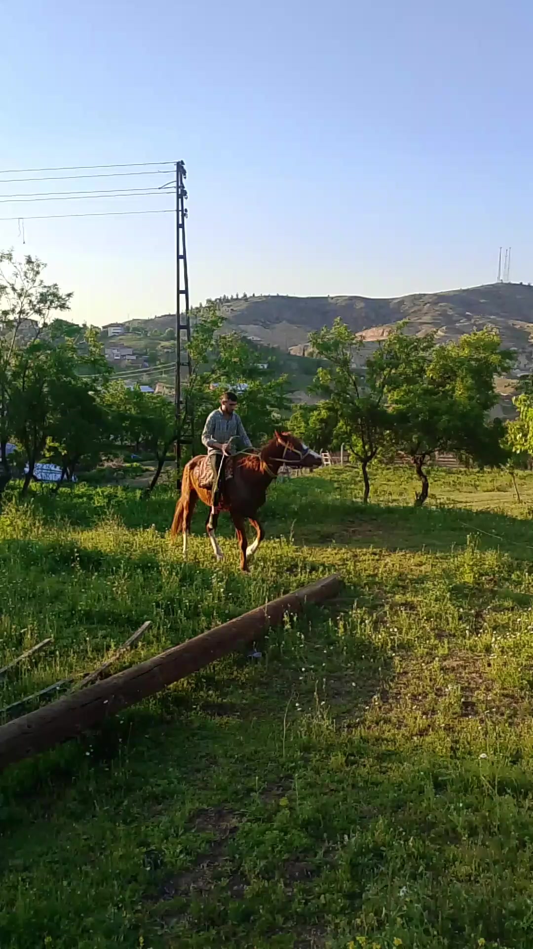 @&Ouml;zkan Heybetoğlu