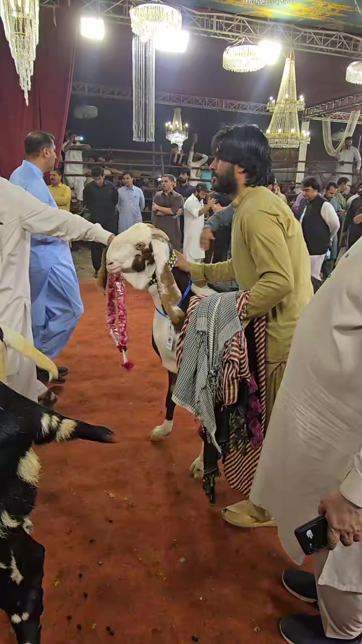 @Waqas Rohi wala