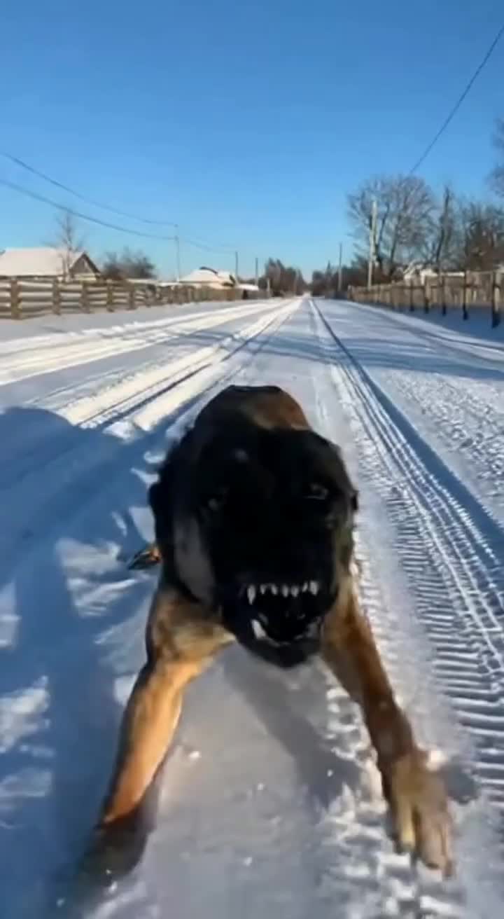 @pawpawchum