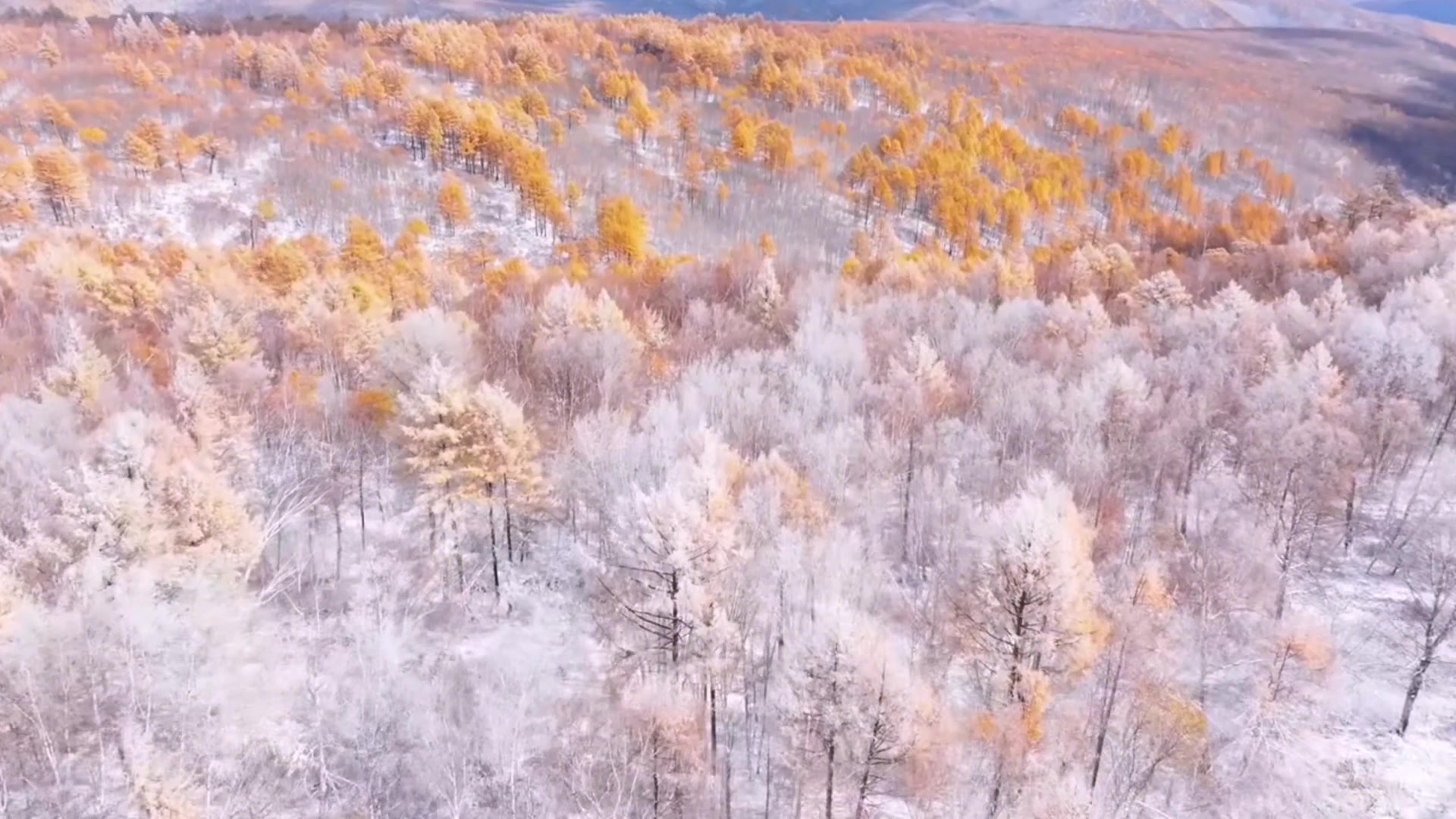 @naturallandscape