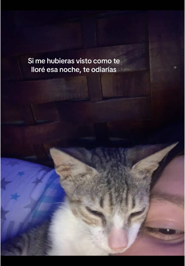 @Jude 2.0