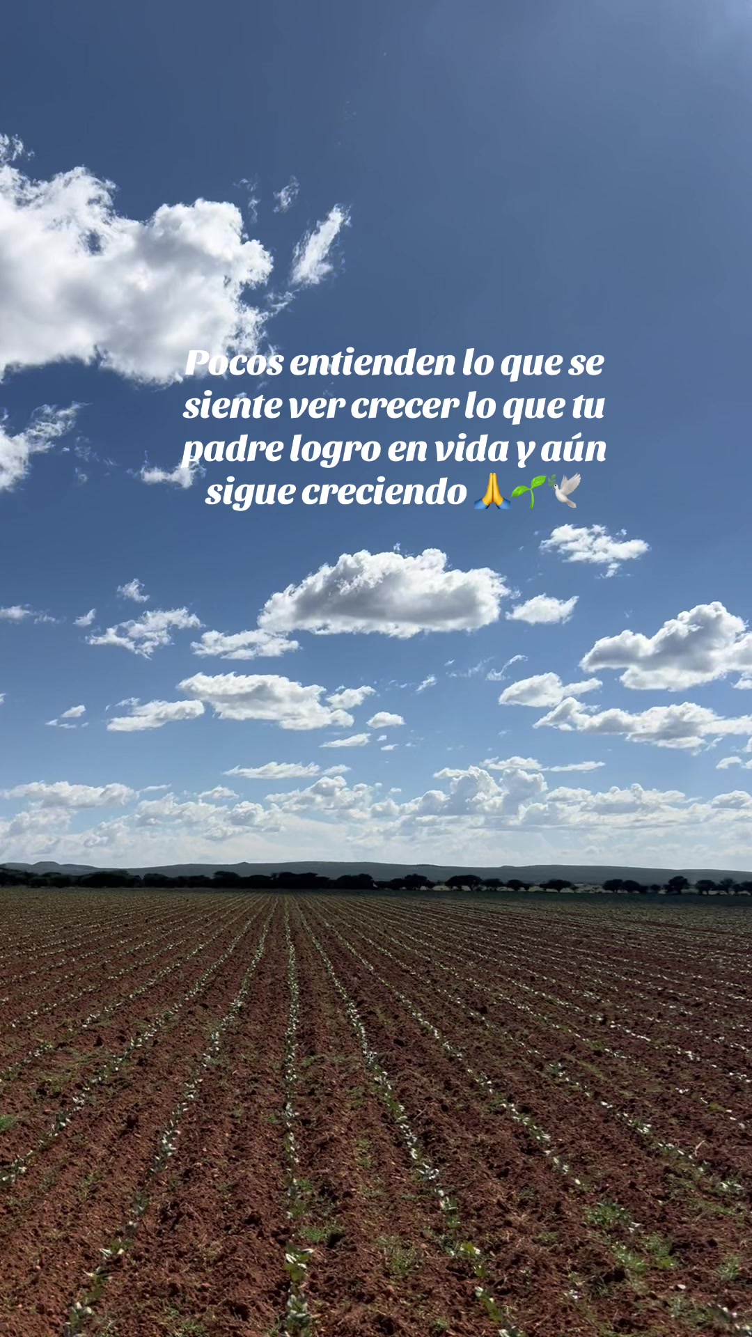 @carmencisneros.realtor