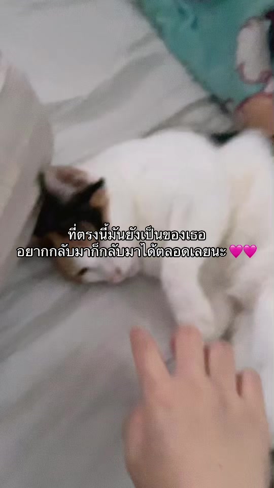 @ใครเพ้อเป้นหมา
