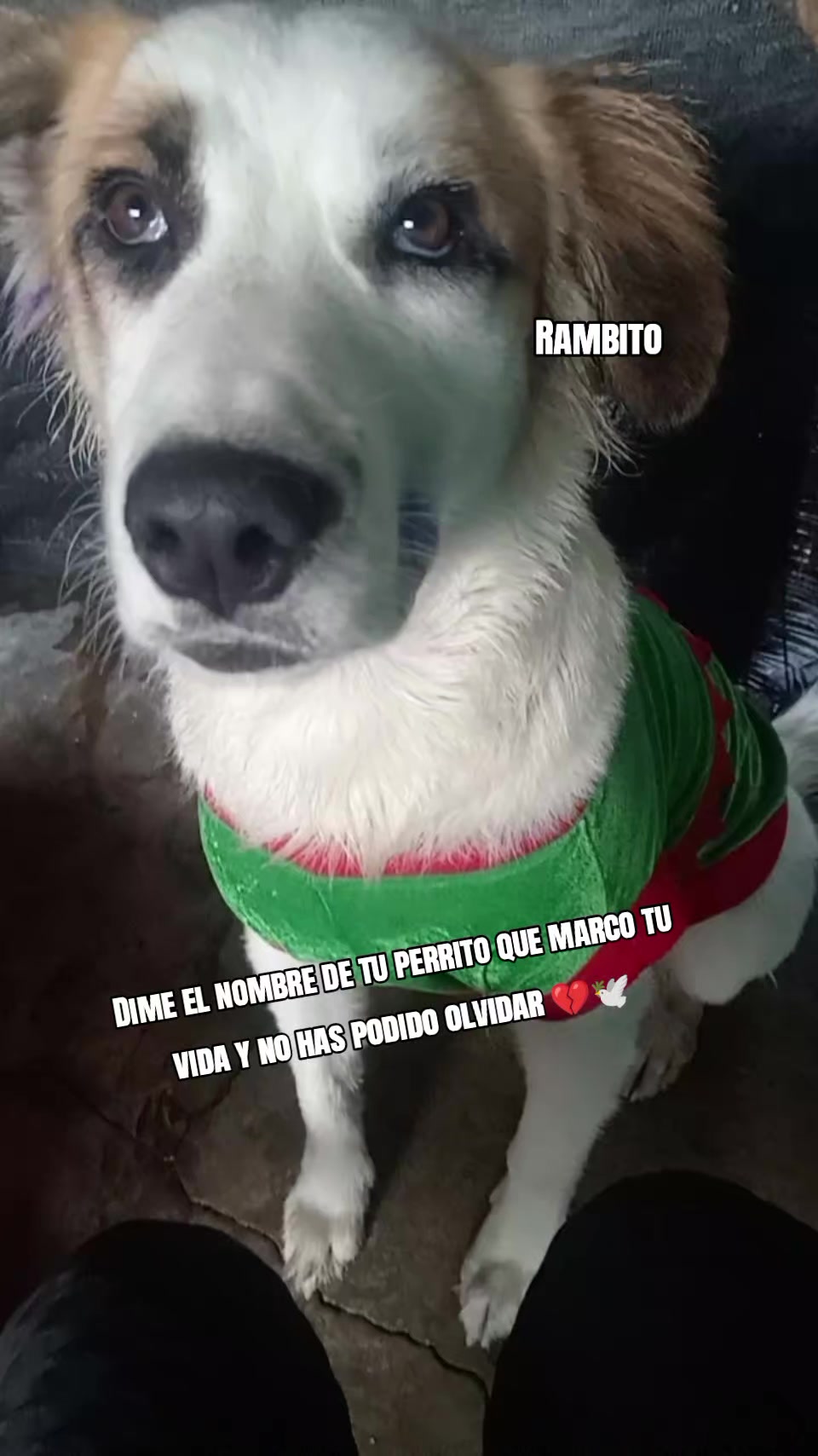 @CAPRICORNIO 🇵🇪&hearts;️