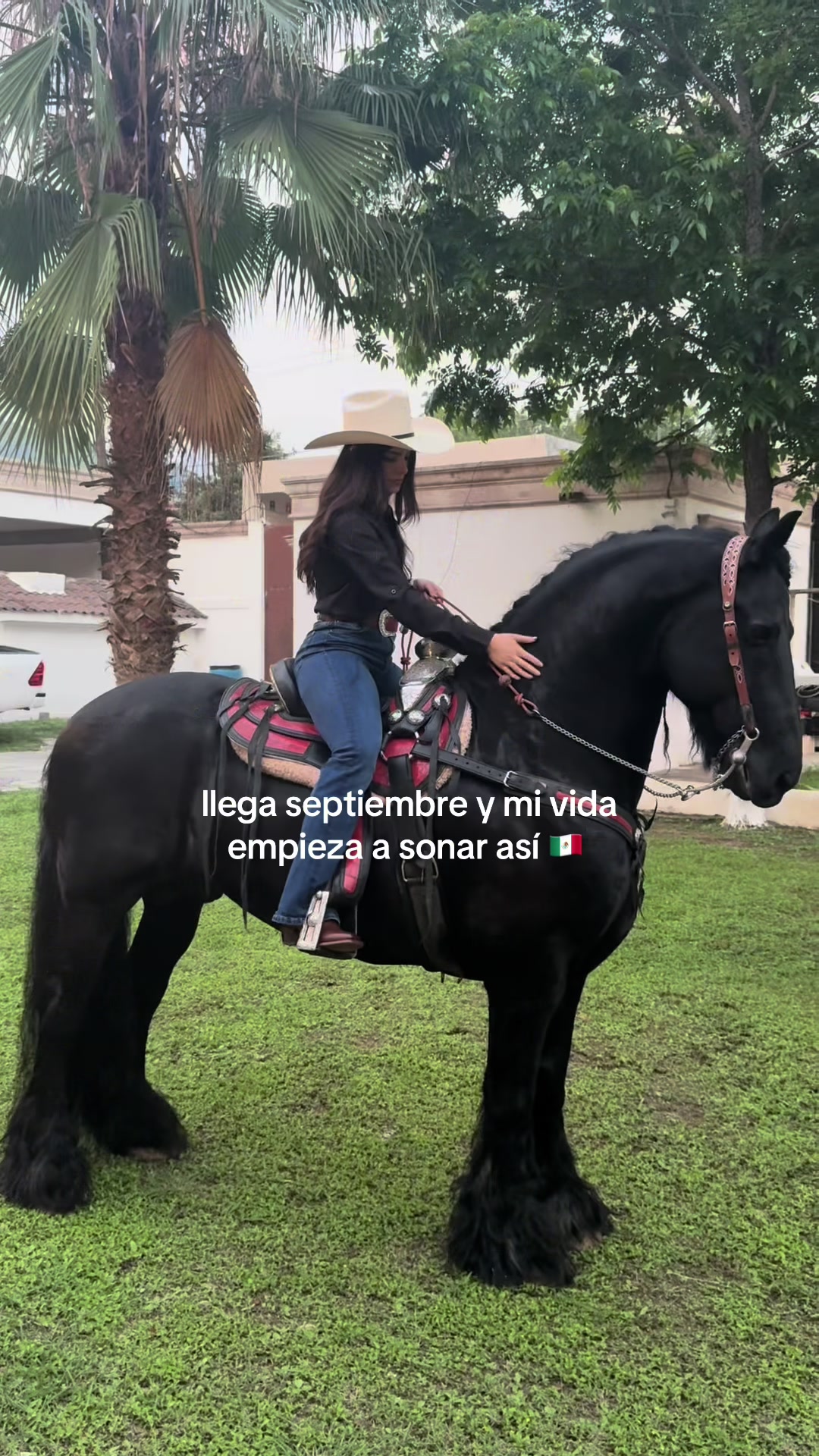 @alexa