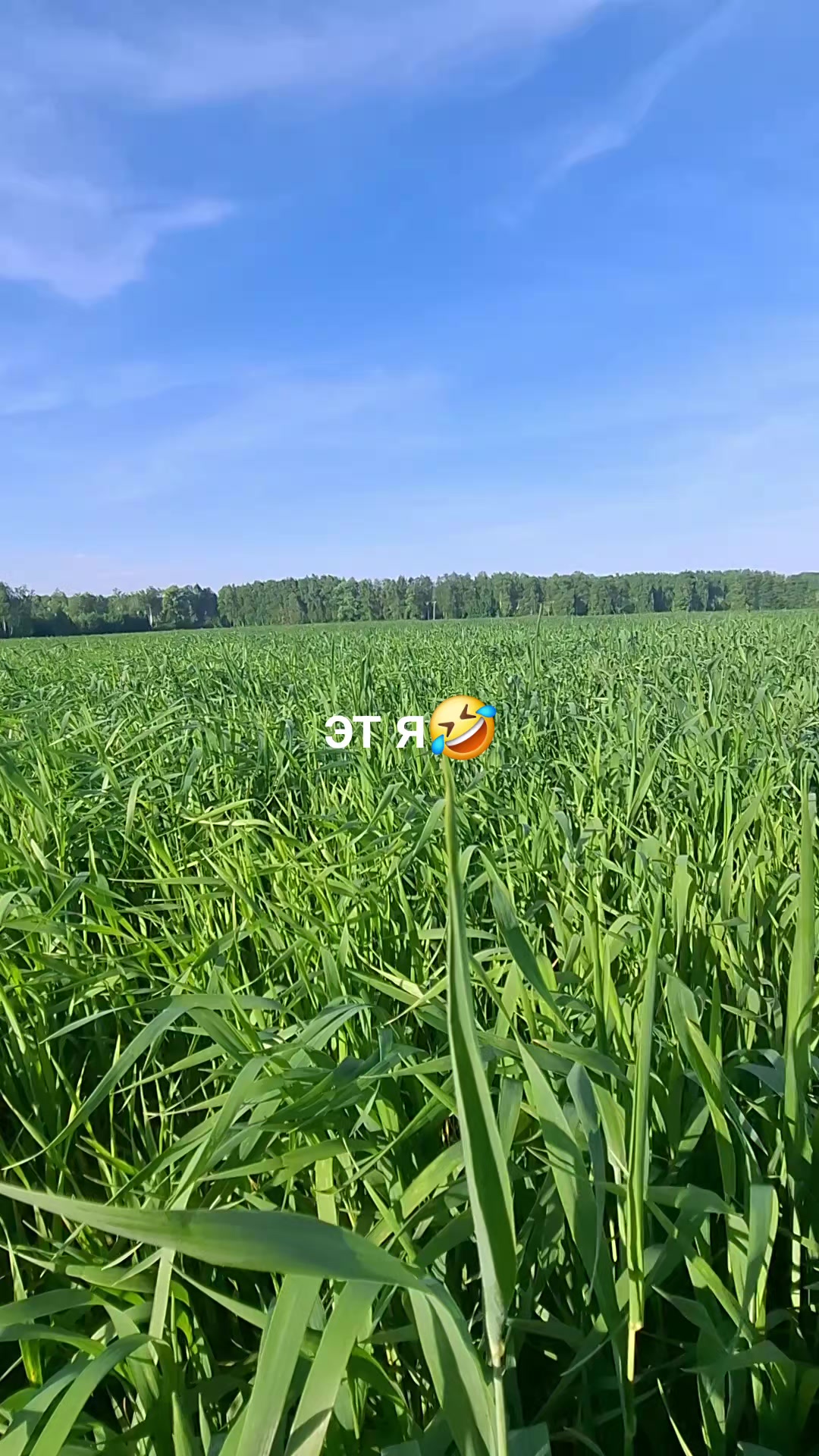 @Джон Константин