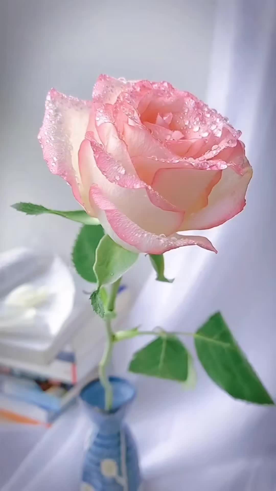 @지콩