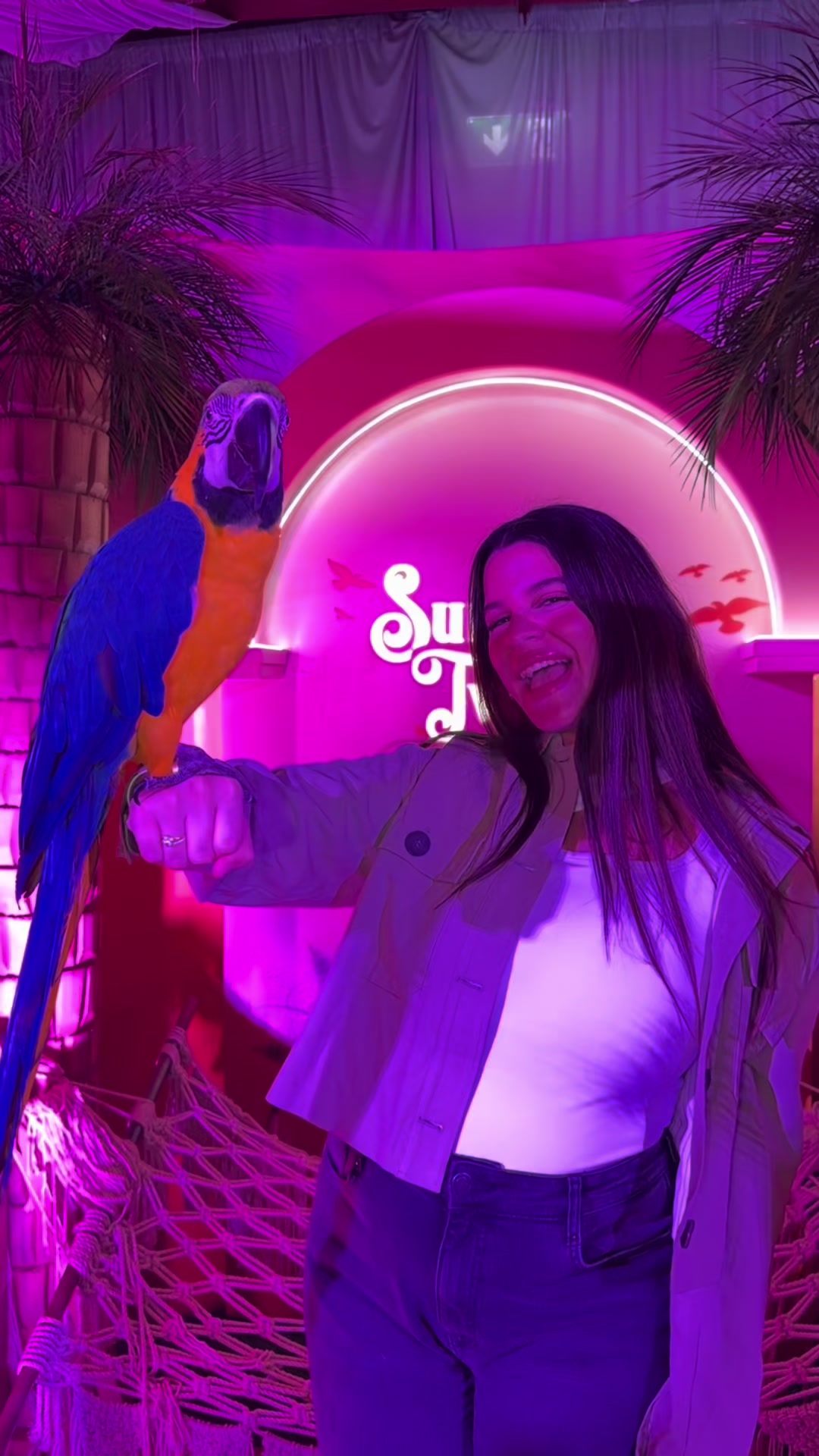 @Menna Ehab