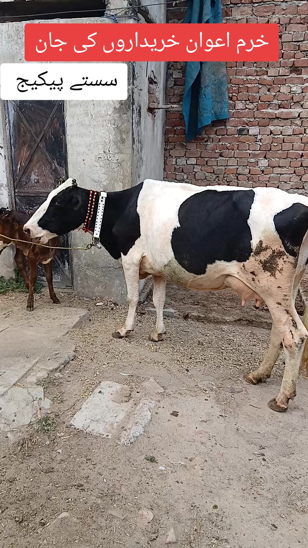 @Farming and Business Ideas